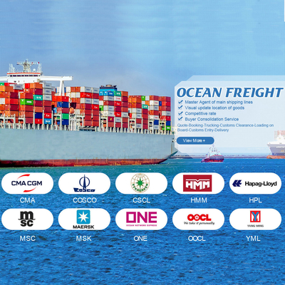 OOG BBK 40ft حاوية الشحن البحري الدولي الصين إلى الأردن للشحن العام